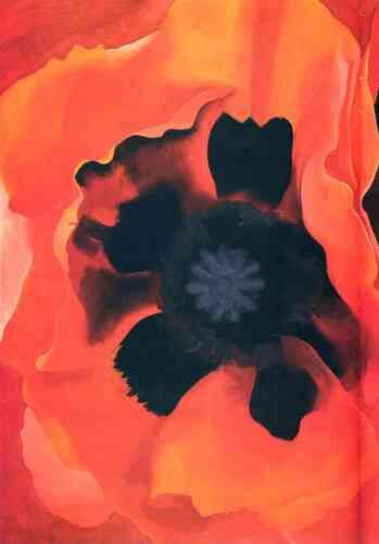 Poppy 2