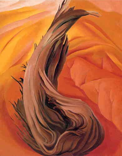 Stump in Red Hills
