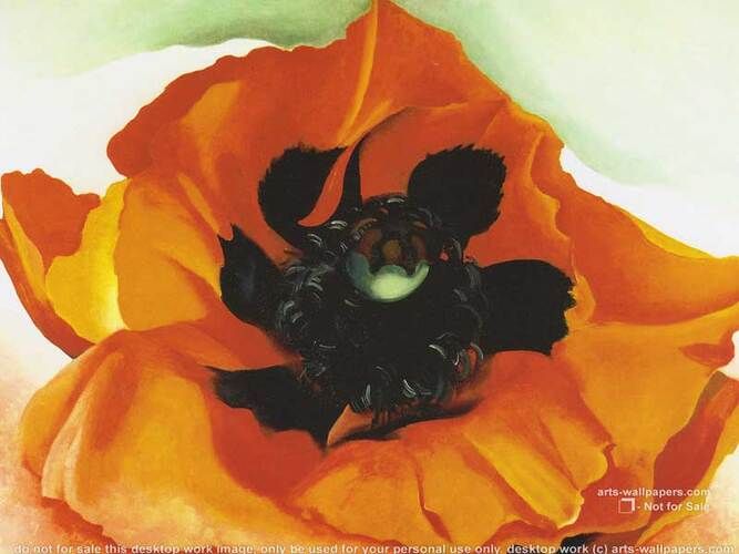 Poppy 4