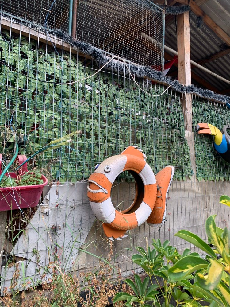 Un neumático usado utilizado para crear un 