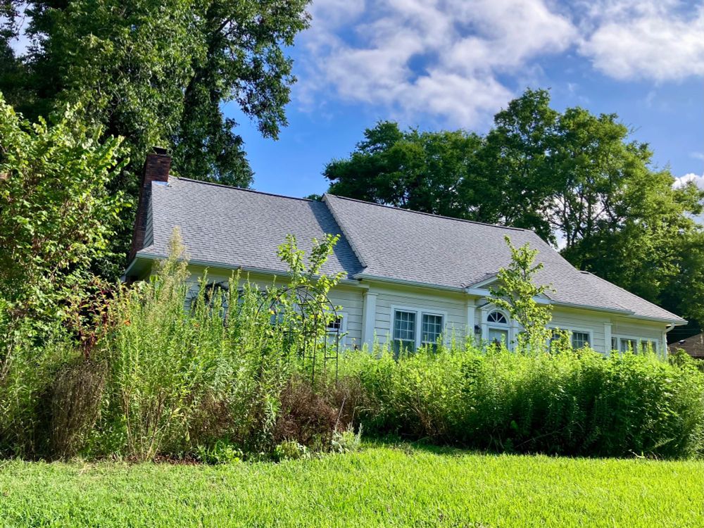 A photograph of an off-white, wooden cottage, mostly blocked from view by a thick pollinator garden. There is grass lawn in the foreground, hackberry and pecan trees in the background and a blue sky with fluffy white clouds. Lots of greens and blue.