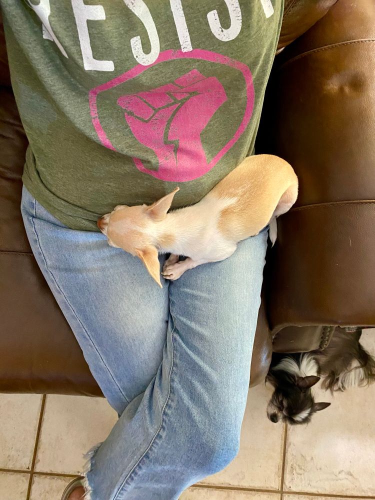 Tiny chihuahua Dior & resist tshirt