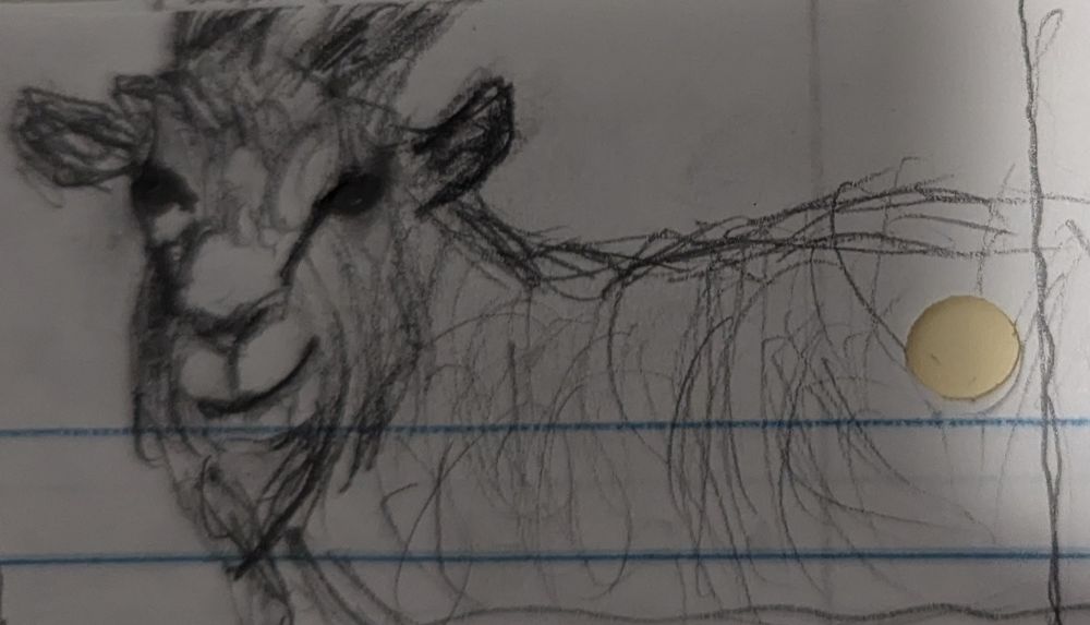 Goat drawing