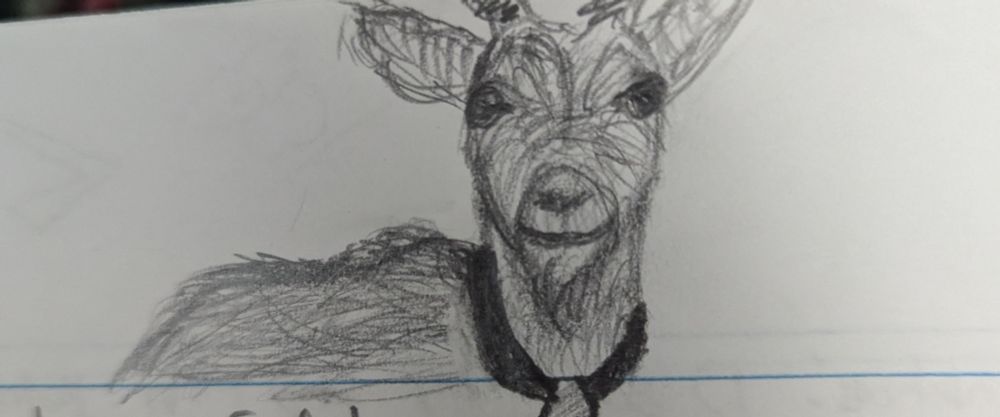 A pencil drawing of a goat.