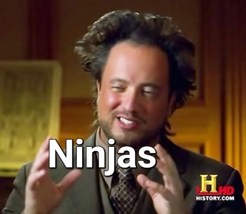 Professional historian with wild hair presenting "ninjas" as a concept 