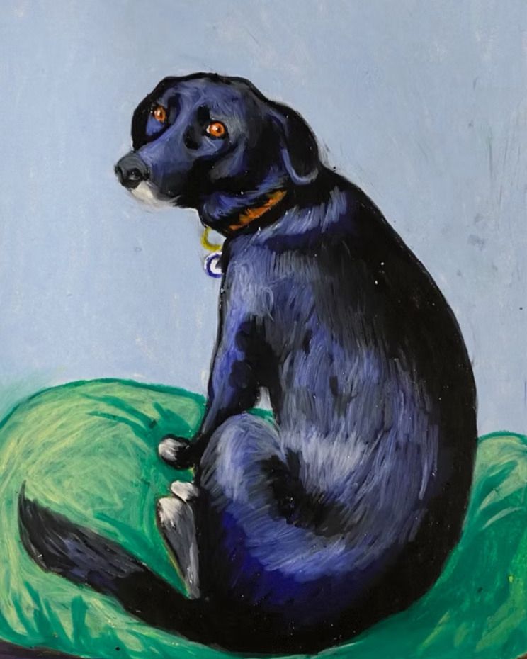 A black dog, primarily a Labrador retriever or lab mix, sits on a green pillow, bed, or bean bag looking back at the viewer.    #dogsinart #animalsinart #illustration #ilustração #ilustración #cão #cachorro  #dog #perro #amorperruno #chien #toutou #hund #hond #hundeliebe #koira #köpek #пес  #犬 #狗 #개
‎ #כלב