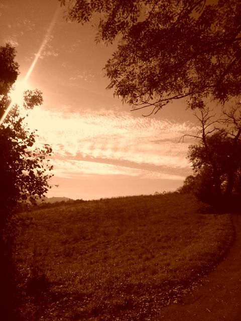 Haut de vallée en sépia, bordure de feuillages rayon lumineux au loin