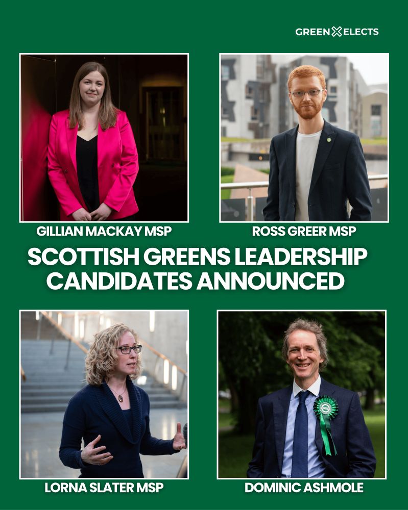 Scottish Greens leadership candidates announced