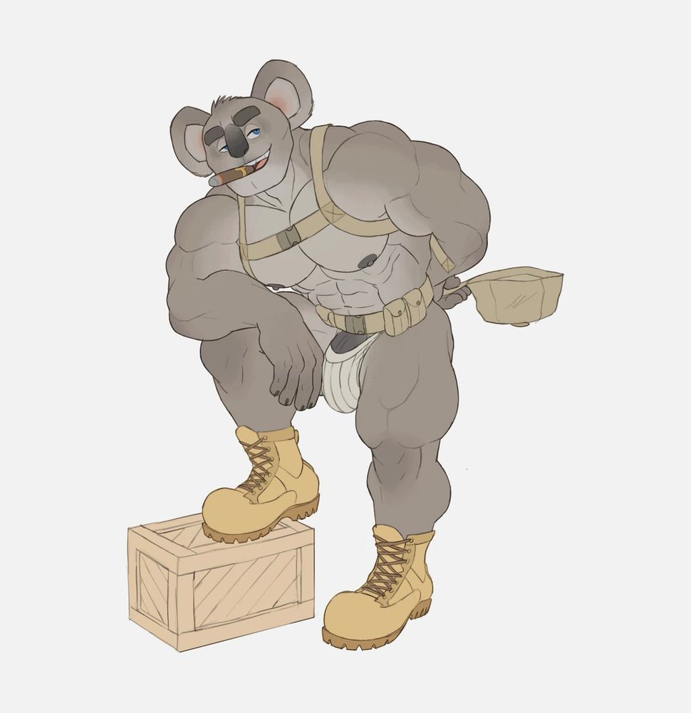 The illustration depicts an anthropomorphic koala, boasting prominent, muscular arms and legs. It is dressed in work boots paired with a basic harness outfit. The character exudes confidence, posing with one foot propped on a wooden crate while holding a cap in one hand against a white background.