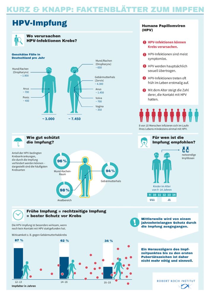 Kurz und knapp: Faktenblätter zum Impfen, HPV-Impfung. Die Grafik enthält mehrere Abschnitte zur HPV-Impfung. 1. Wo verursachen HPV-Infektionen Krebs? Geschätzte Fälle in Deutschland pro Jahr: Männer insgesamt ca. 3.000 (Mund/Rachen 1.900, Anus 500, Penis 400). Frauen insgesamt ca. 7.450 (Gebärmutterhals 4.300, Mund/Rachen 1.650, Anus 950, Vulva 700, Vagina 250). 2. Wie gut schützt die Impfung? Anteil der HPV-bedingten Krebserkrankungen, die durch die Impfung verhindert werden können: 96% Mund-Rachen-Raum, 94% Gebärmutterhals, 98% Analbereich. 3. Frühe Impfung = rechtzeitige Impfung = bester Schutz vor Krebs. Wirksamkeit z.B. gegen Gebärmutterhalskrebs, nach Impfalter: 12-13 Jahre 87%, 14-16 Jahre 62%, 16-18 Jahre 34%. 4. Für wen ist die Impfung empfohlen? Kinder im Alter von 9–14 Jahren. Hinweise: HPV-Infektionen können Krebs verursachen, sind meist symptomlos, werden hauptsächlich sexuell übertragen. Mit dem Alter steigt die Zahl derer, die Kontakt mit HPV hatten.