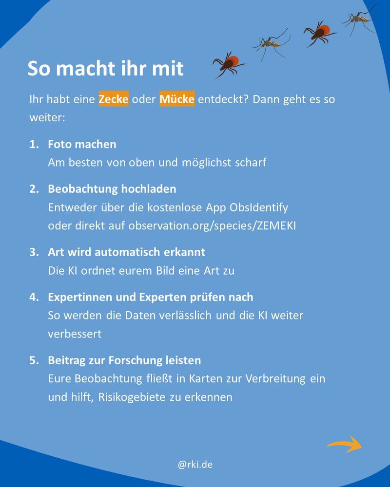 Anleitung zur Teilnahme am Citizen-Science-Projekt ZEMEKI. Überschrift: „So macht ihr mit“. Darunter eine Schritt-für-Schritt-Erklärung: 1. Foto machen, 2. Beobachtung hochladen, 3. Art wird automatisch erkannt, 4. Expertinnen und Experten prüfen nach, 5. Beitrag zur Forschung leisten. Am oberen Rand fliegen stilisierte Zecken und Mücken über das Bild. 