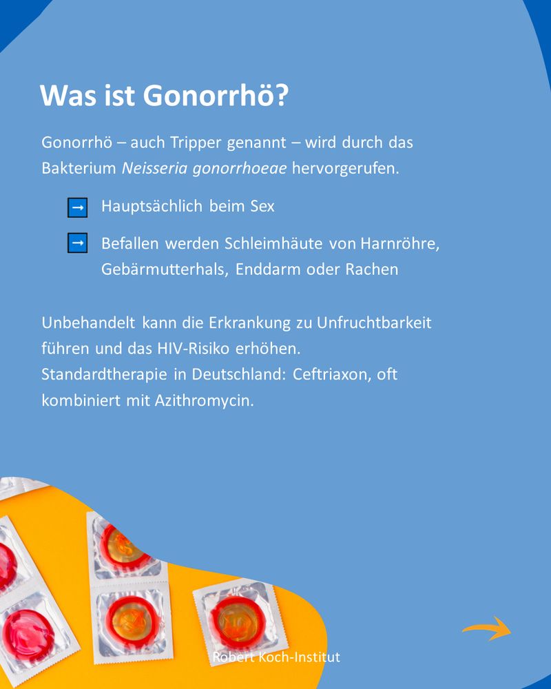 Blaue Infografik mit Text „Was ist Gonorrhö?“. Erklärtext: Gonorrhö wird durch das Bakterium Neisseria gonorrhoeae verursacht, hauptsächlich beim Sex übertragen und befällt Schleimhäute von Harnröhre, Gebärmutterhals, Enddarm oder Rachen. Unbehandelt kann die Erkrankung Unfruchtbarkeit und ein erhöhtes HIV-Risiko verursachen. Standardtherapie in Deutschland: Ceftriaxon, oft kombiniert mit Azithromycin.