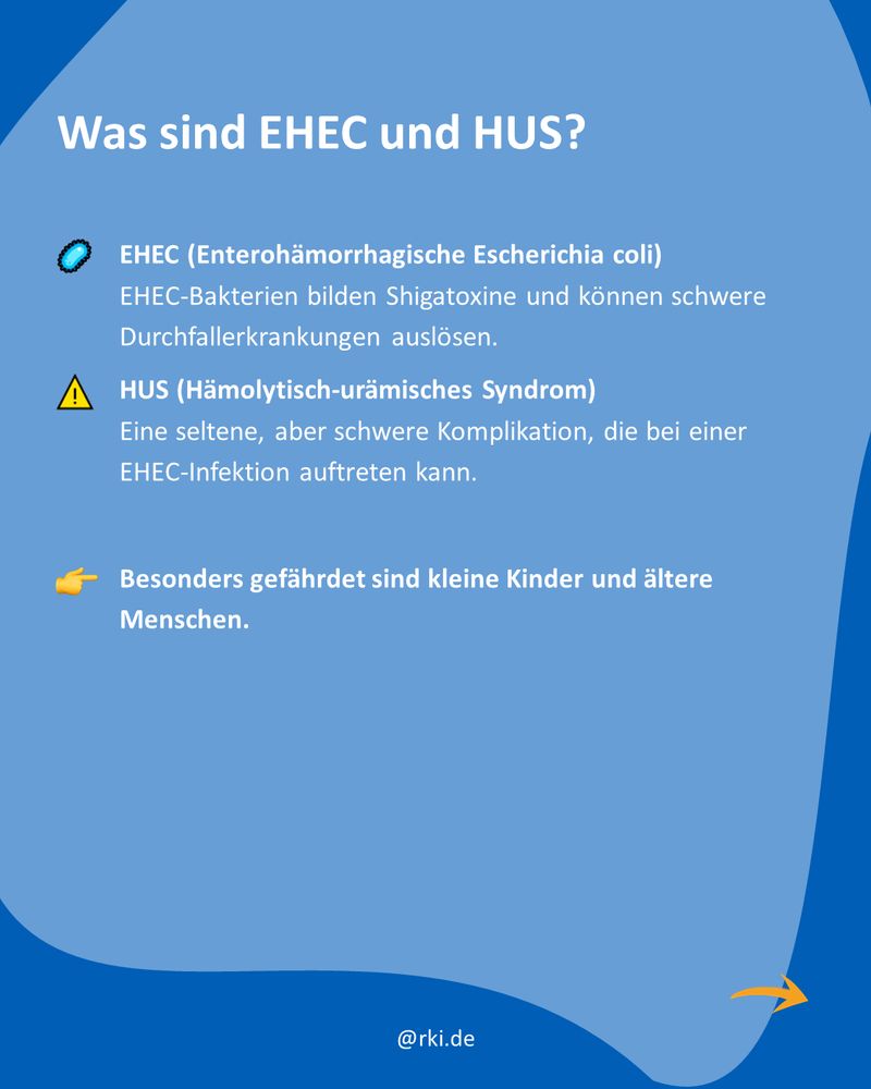 itel: „Was sind EHEC und HUS?“ Erklärung: EHEC sind Enterohämorrhagische Escherichia coli, die Shigatoxine bilden und Durchfallerkrankungen auslösen können. HUS, das hämolytisch-urämische Syndrom, ist eine seltene, aber schwere Komplikation, die bei einer EHEC-Infektion auftreten kann. Hinweis: Besonders gefährdet sind kleine Kinder und ältere Menschen.