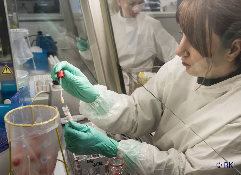 Eine Laboratin arbeitet an eine Sicherheitswerkbank mit einem Probentupfer. Im Hintergrund ist eine weitere Labormitarbeiterin an der Werkbank zu sehen. 