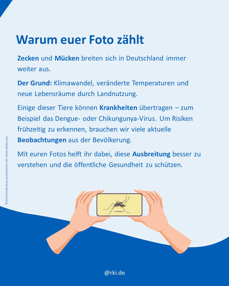 Infografik mit dem Titel „Warum euer Foto zählt“. Es wird erklärt, dass sich Zecken und Mücken in Deutschland ausbreiten – unter anderem durch Klimawandel und Landnutzung – und Krankheiten übertragen können. Fotos aus der Bevölkerung helfen, diese Ausbreitung zu verstehen und Risiken frühzeitig zu erkennen. Am unteren Rand ist eine Illustration von zwei Händen zu sehen, die ein Smartphone mit einem Mückenfoto halten. 