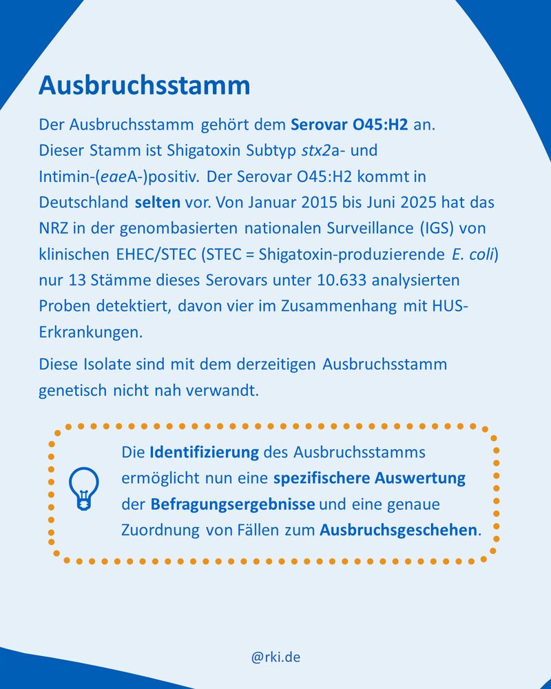 Ausbruchsstamm
Der Ausbruchsstamm gehört dem Serovar O45:H2 an. Dieser Stamm ist Shigatoxin Subtyp stx2a- und Intimin-(eaeA-)positiv. Der Serovar O45:H2 kommt in Deutschland selten vor. Von Januar 2015 bis Juni 2025 hat das NRZ in der genombasierten nationalen Surveillance (IGS) von klinischen EHEC/STEC (STEC = Shigatoxin-produzierende E. coli) nur 13 Stämme dieses Serovars unter 10.633 analysierten Proben detektiert, davon vier im Zusammenhang mit HUS-Erkrankungen. 
Diese Isolate sind mit dem derzeitigen Ausbruchsstamm genetisch nicht nah verwandt.
Die Identifizierung des Ausbruchsstamms ermöglicht nun eine spezifischere Auswertung der Befragungsergebnisse und eine genaue Zuordnung von Fällen zum Ausbruchsgeschehen.
