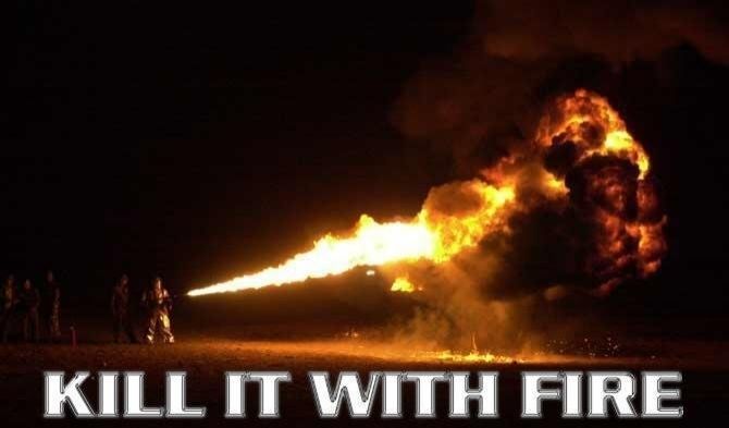Person with flamethrower.

Captioned: kill it with fire