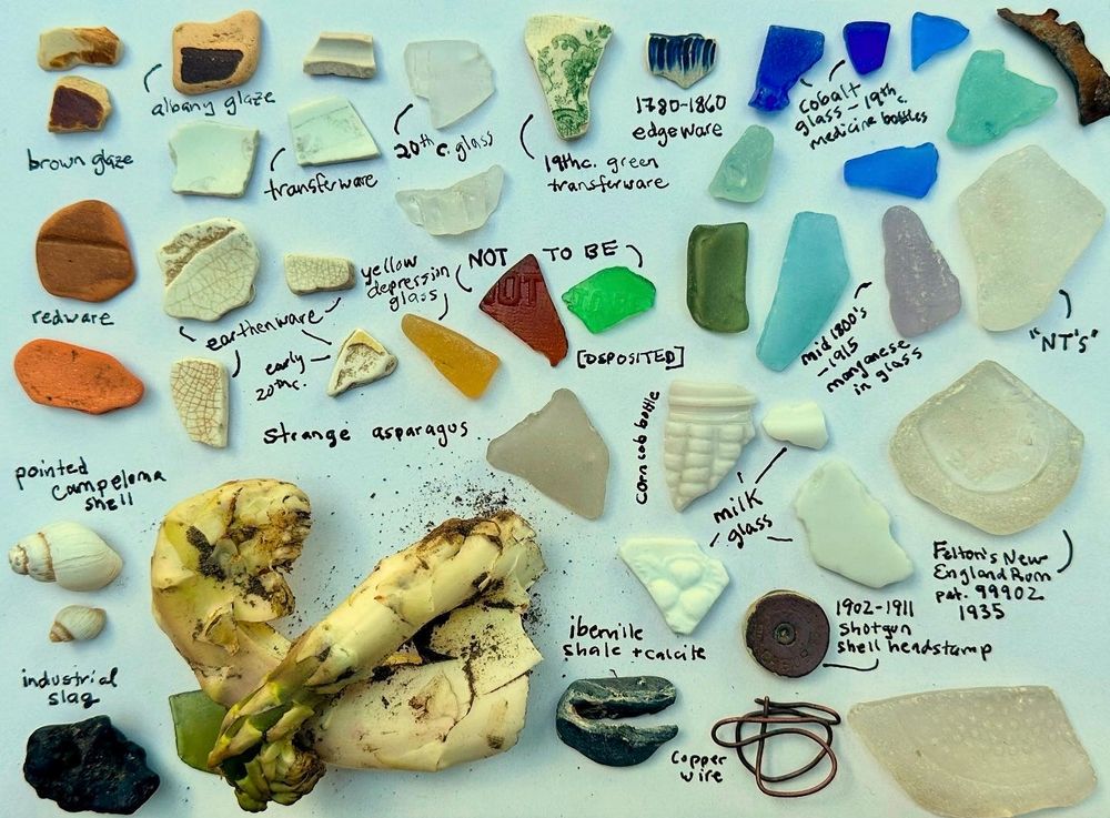 Lots of glass and ceramic fragments laid out