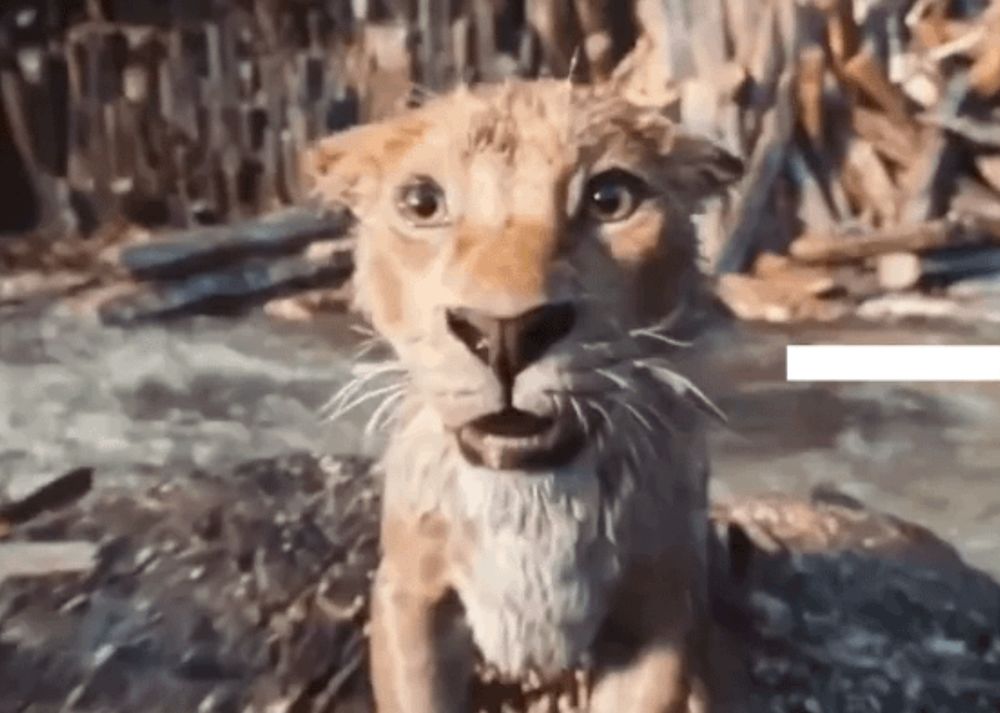 mufasa lion king looking fucking stupid and flabbergasted