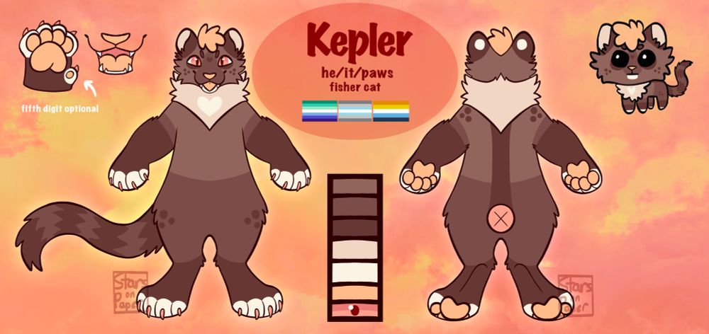reference sheet for my fursona, Kepler, he’s a chubby brown fisher with dark brown markings and orange accents 