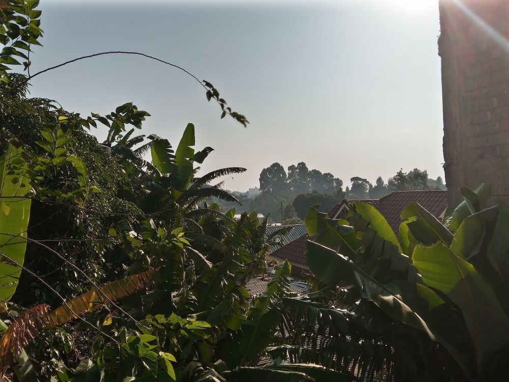 Sunrise as seen from the North East