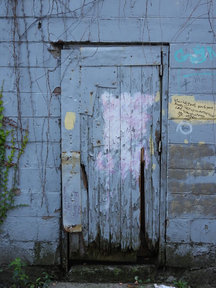 A heavily painted worn wooden door. Vines grow up to the left of frame; graffiti and tags decorate the door and surrounding stone wall.