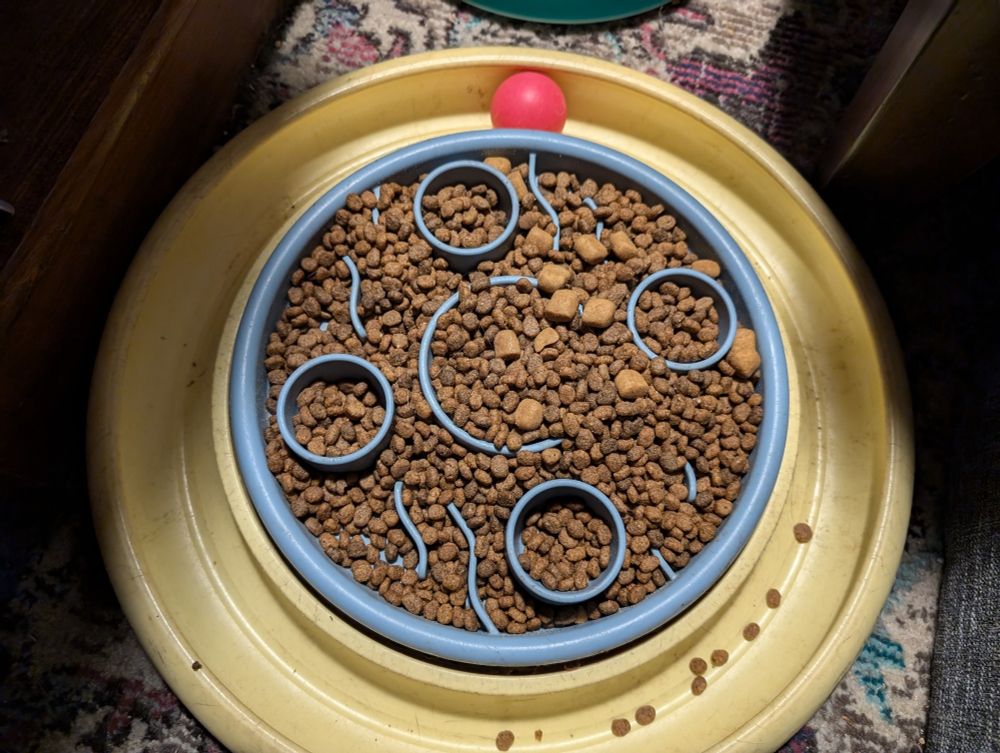 A very, very over-filled blue puzzle feeder.