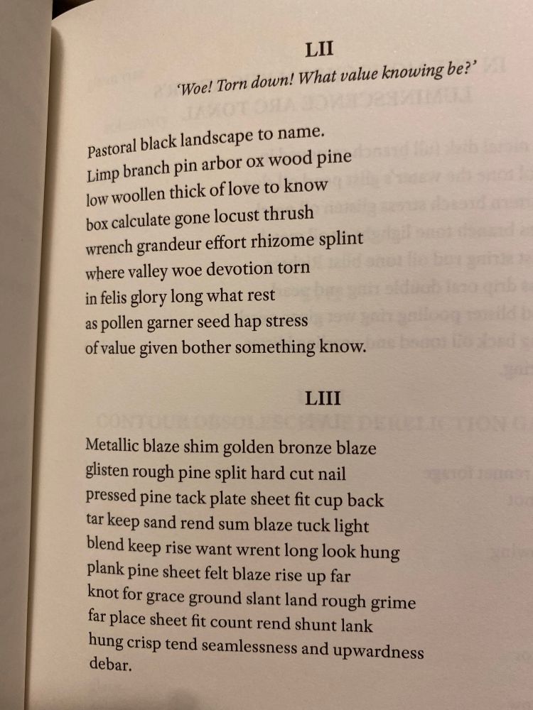 A photo of a page of a book showing two poems: 

LII
Woe! Torn down! What value knowing be?'
Pastoral black landscape to name.
Limp branch pin arbor ox wood pine low woollen thick of love to know box calculate gone locust thrush wrench grandeur effort rhizome splint where valley woe devotion torn in felis glory long what rest as pollen garner seed hap stress of value given bother something know.
LIMI
Metallic blaze shim golden bronze blaze glisten rough pine split hard cut nail pressed pine tack plate sheet fit cup back tar keep sand rend sum blaze tuck light blend keep rise want wrent long look hung plank pine sheet felt blaze rise up far knot for grace ground slant land rough grime far place sheet fit count rend shunt lank hung crisp tend seamlessness and upwardness debar.