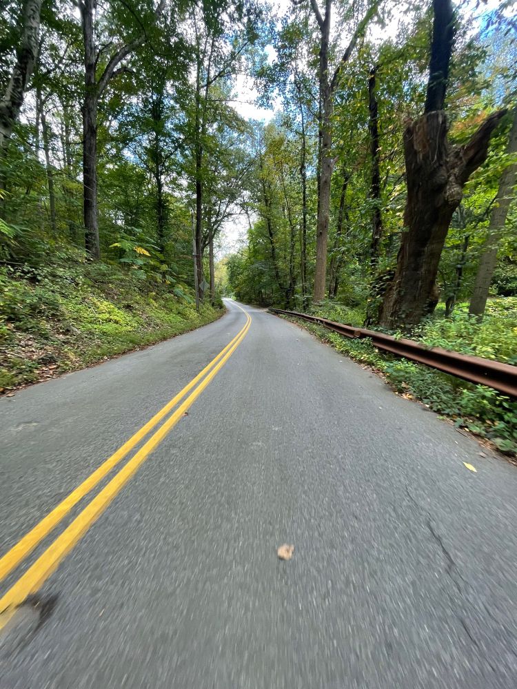 a two lane road meanders between lush green forest with a rusty guardrail lining the right side 