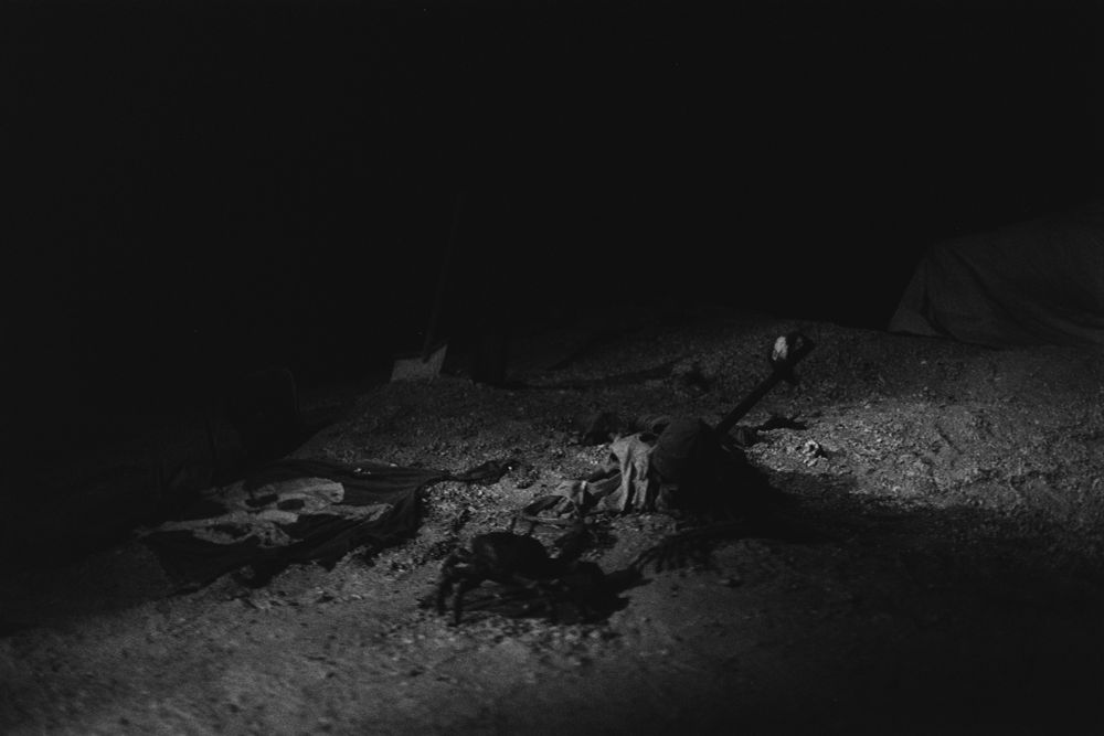 Pirate skeleton on the ground with a cutlass stabbed onto it