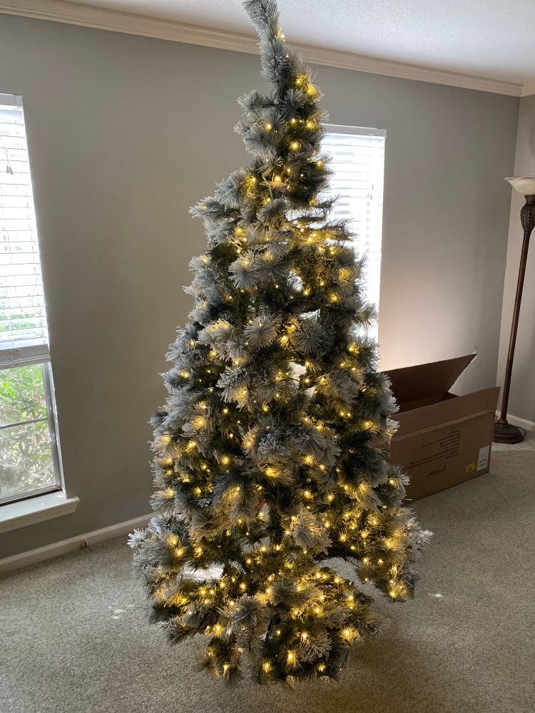 A Christmas tree that has gone up on November 1