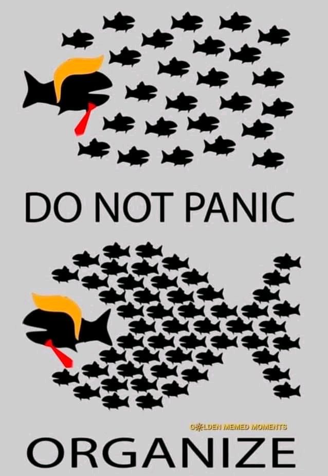 Do not panic
Organize 