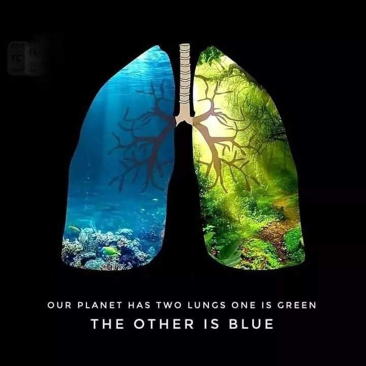 Our planet has two lungs one is green the other is blue