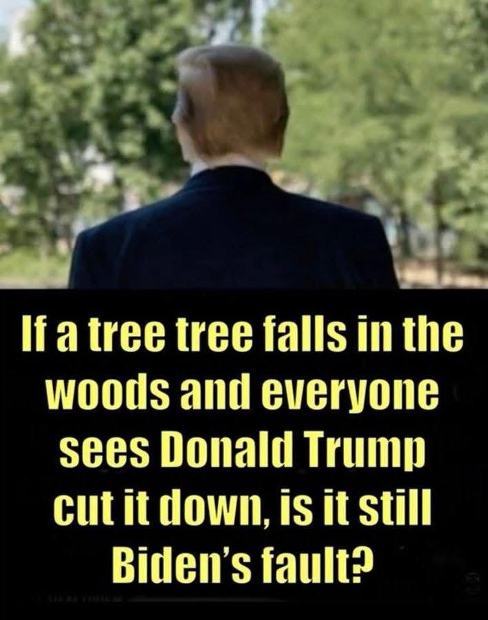 If a tree falls in the woods and everyone sees Donald Trump cut it down, is it still Biden’s fault?