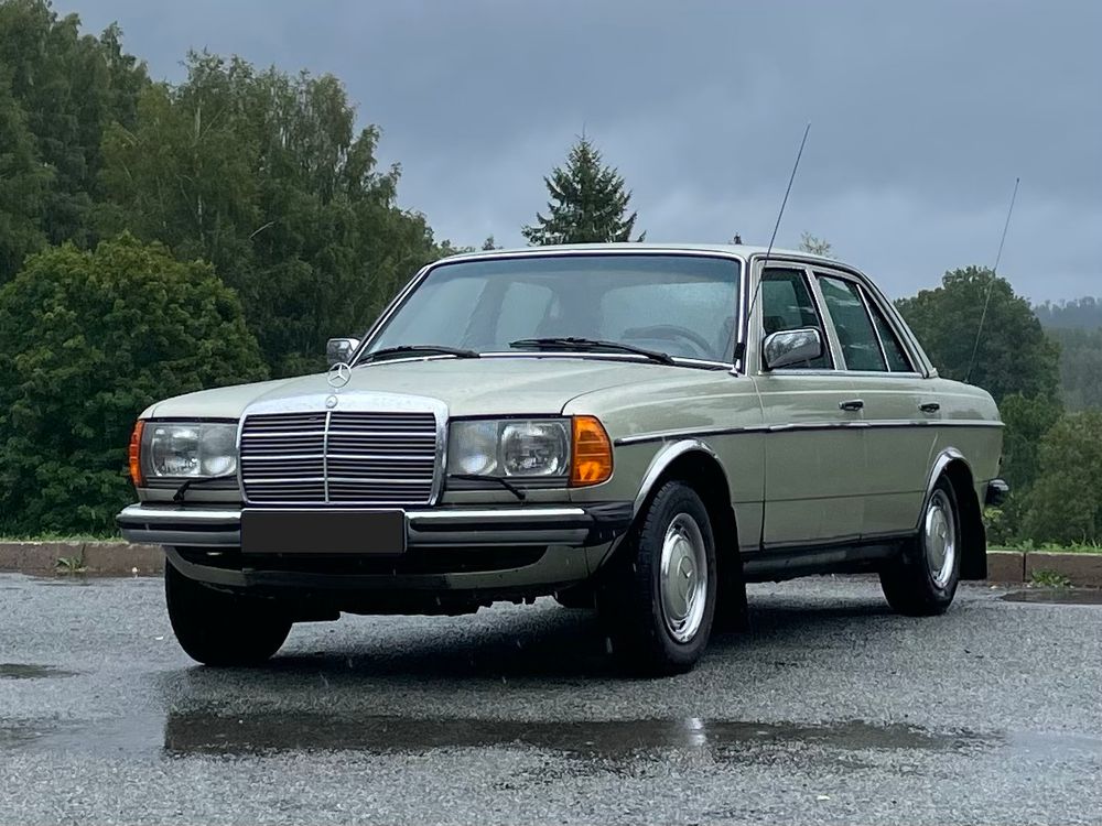 Thistle green Mecedes-Benz W123