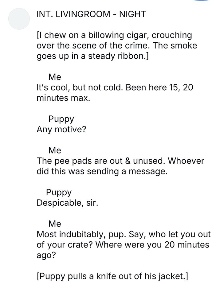 INT. LIVINGROOM - NIGHT
Il chew on a billowing cigar, crouching over the scene of the crime. The smoke goes up in a steady ribbon.]
Me
It's cool, but not cold. Been here 15, 20 minutes max.
Puppy
Any motive?
Me
The pee pads are out & unused. Whoever did this was sending a message.
Puppy
Despicable, sir.
Me
Most indubitably, pup. Say, who let you out of your crate? Where were you 20 minutes ago?
[Puppy pulls a knife out of his jacket.]