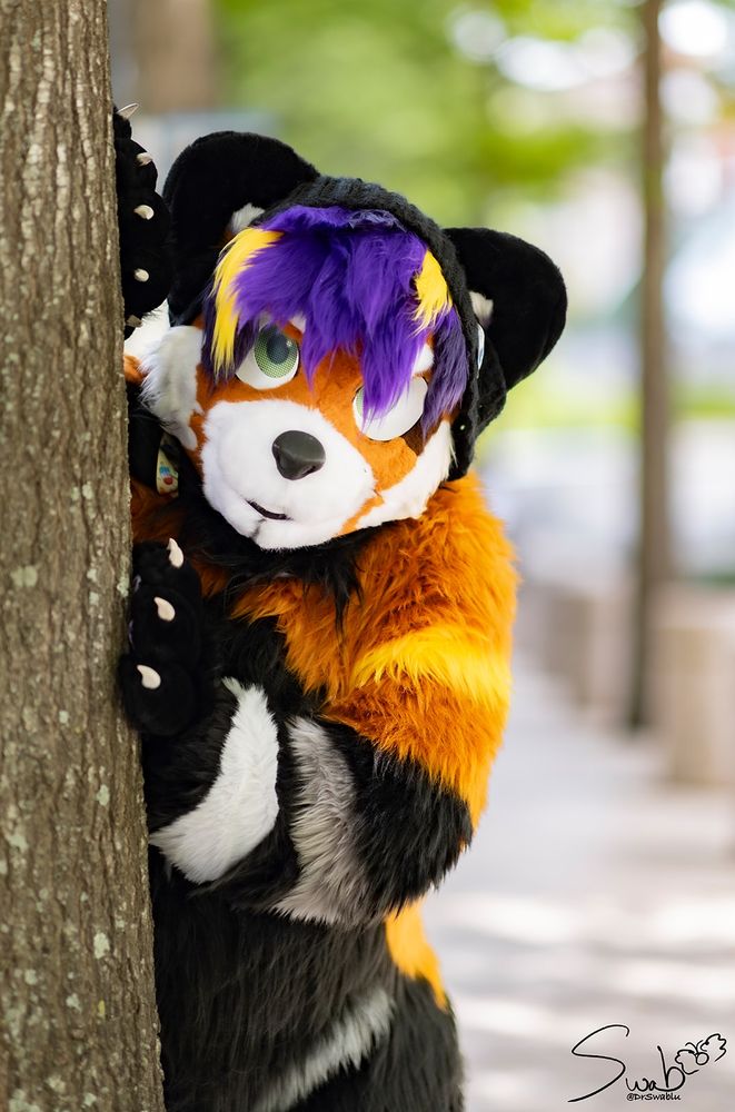 Red panda fursuit with nonbinary colors and beanie peaking from behind a tree.