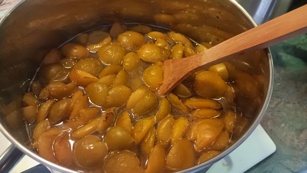 Gages simmering prior to adding sugar.