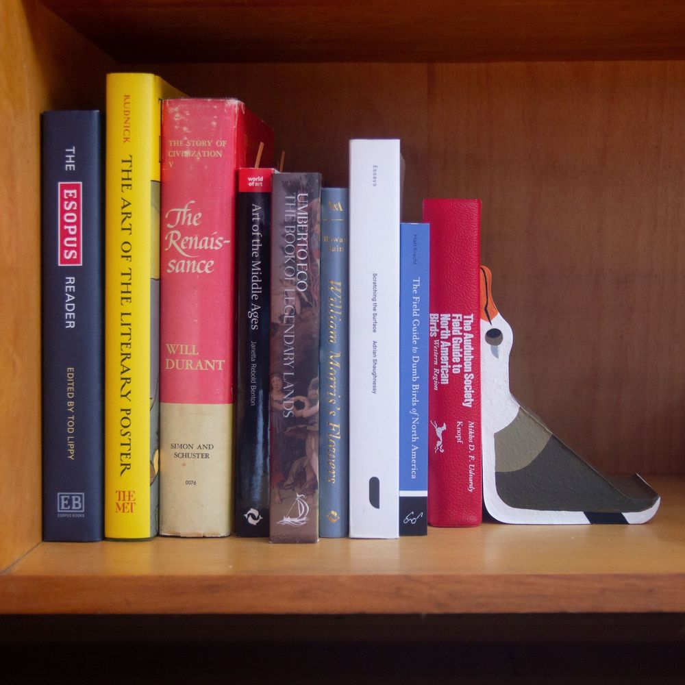 A happy wedge-shaped Albatross bookend inside of a bookshelf.