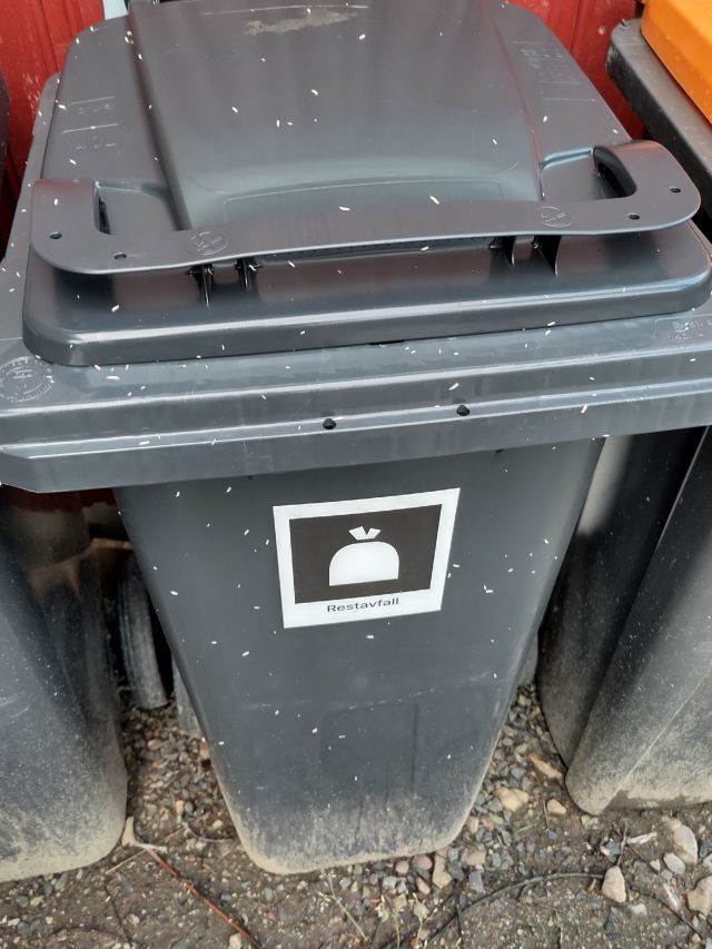 Bilde av søppeldunk ikledd fluelarver etter at jeg kasta en 'bleie' til kyllingkjøtt i den - som man skal. 