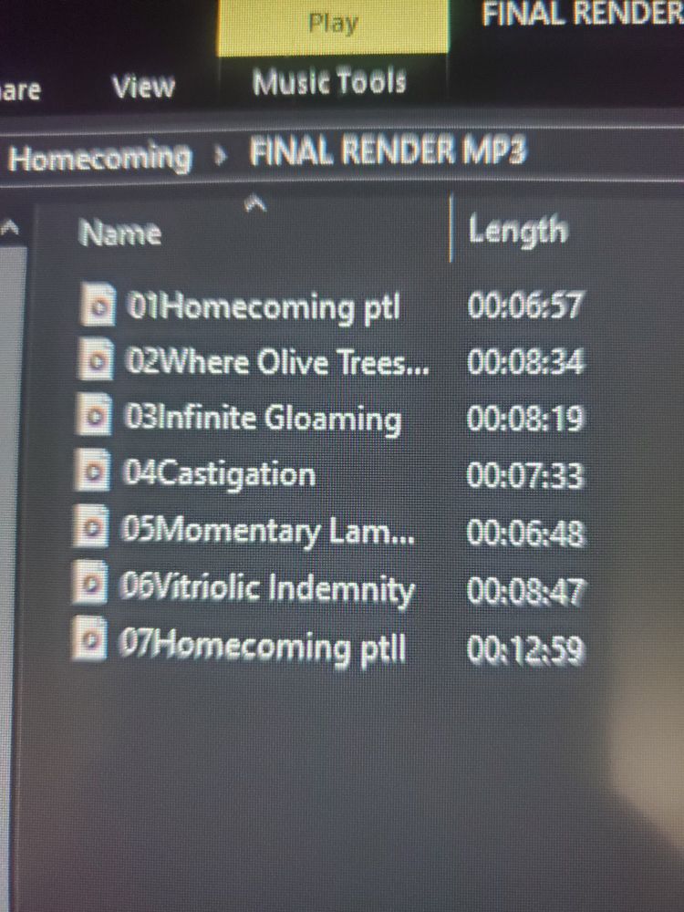 A photo of a screen displaying a folder of seven audio files, the names of which are Homecoming ptI, Where Olive Trees Wither, Infinite Gloaming, Castigation, Momentary Lambency, Vitriolic Indemnity, and Homecoming ptII. Above these items can be seen the name of the folder they're in, which is FINAL RENDER MP3, which is inside another folder titled Homecoming.