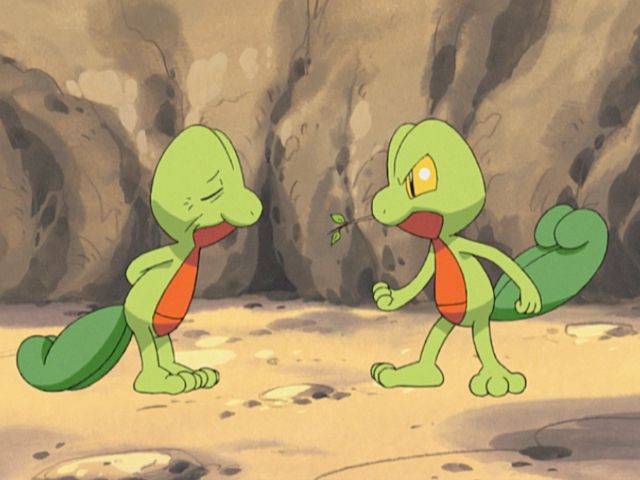 Still from Pokémon anime episode AG007. A visibly old treecko, with wrinkles, its eyes closed, its tail low and its arms crossed behind its back is facing off with Ash's treecko, with its eyes narrowed, tail high and arms in a fighting pose, in front of a rocky wall.