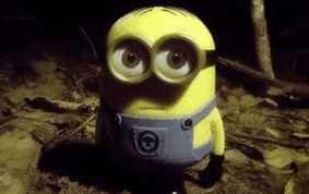 A timid minion in the forest looking up at the camera before getting his face blown off with a shotgun