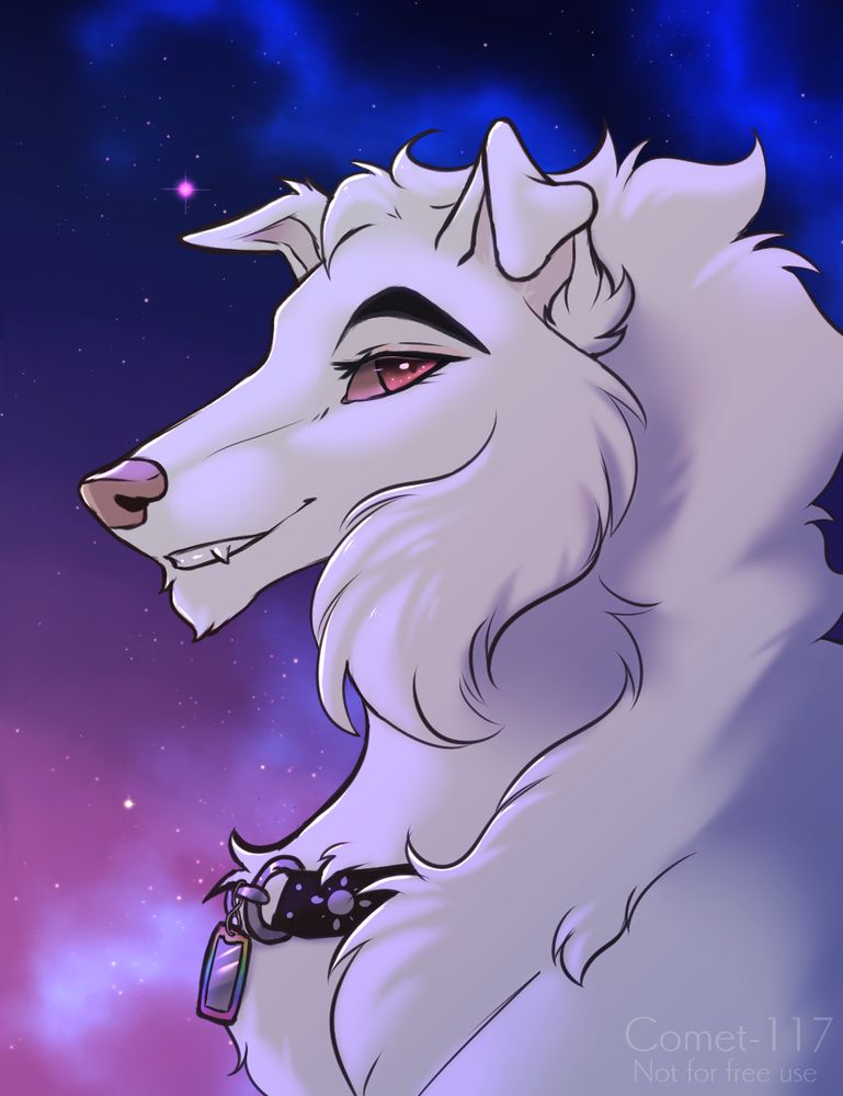 A portrait of a white dog in front of a starry sky. The dog is fluffy with long, wavy fur, and the top half of their ears are floppy. They are in profile, but are smiling and looking in the viewer's direction.