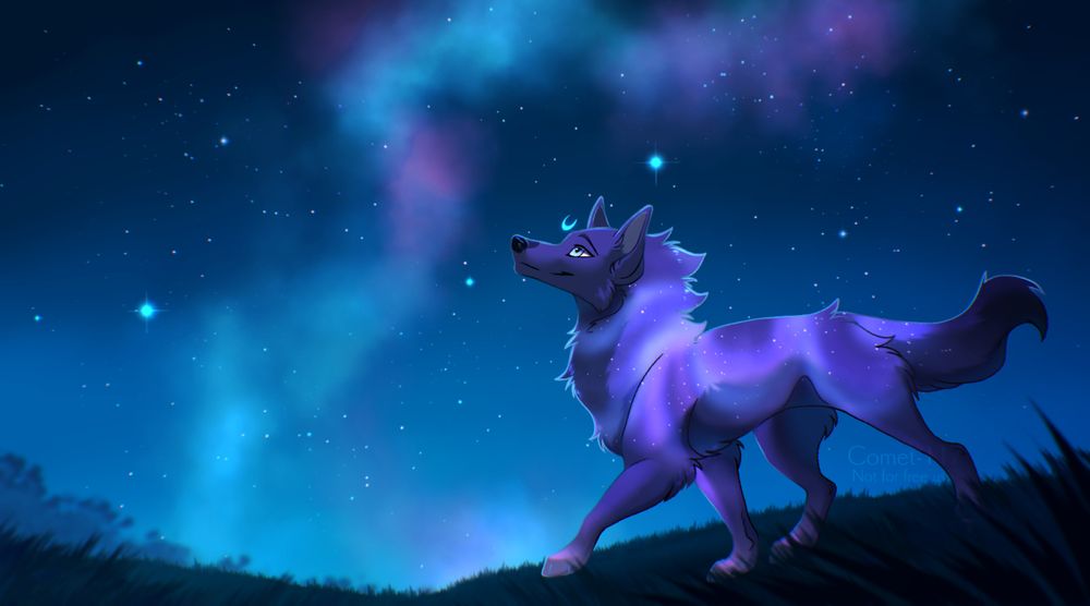 A wolf with nebula markings wanders across a grassy field while staring up at the night sky. 