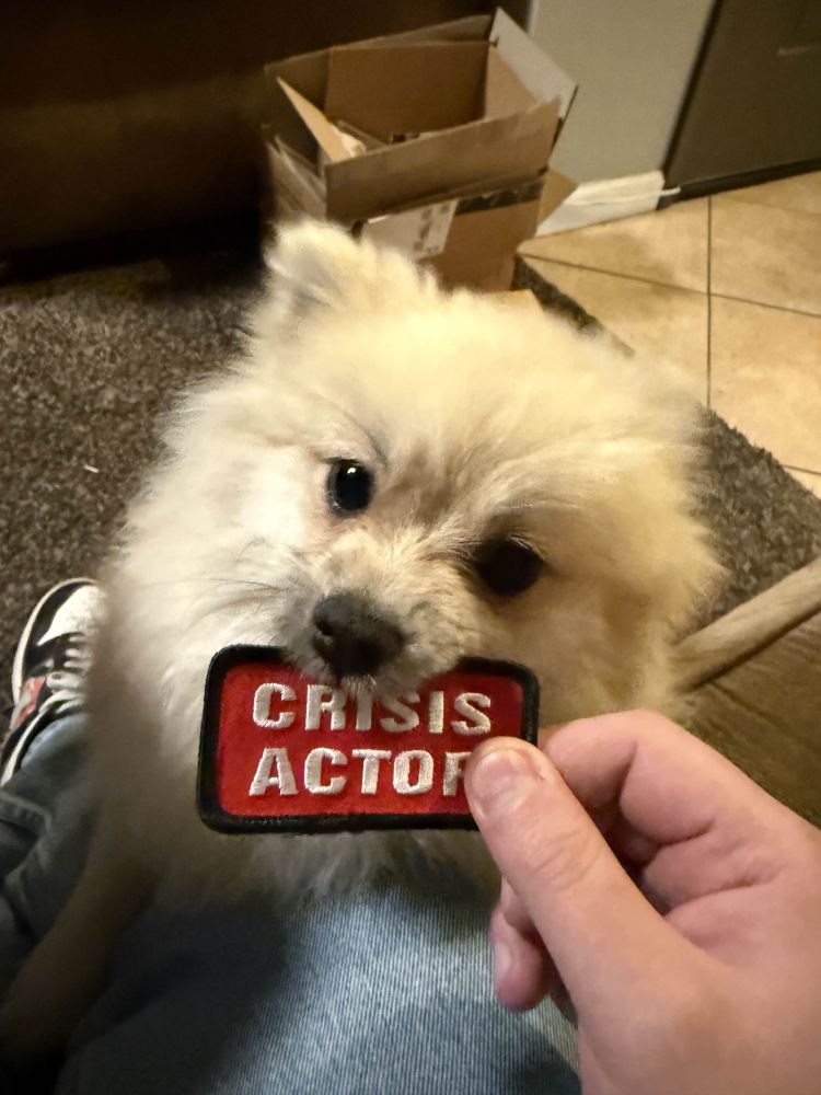 crisis actor pomeranian