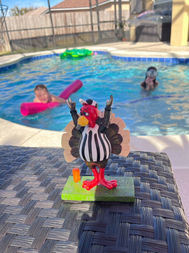 Happy Thanksgiving from Florida. 🌴