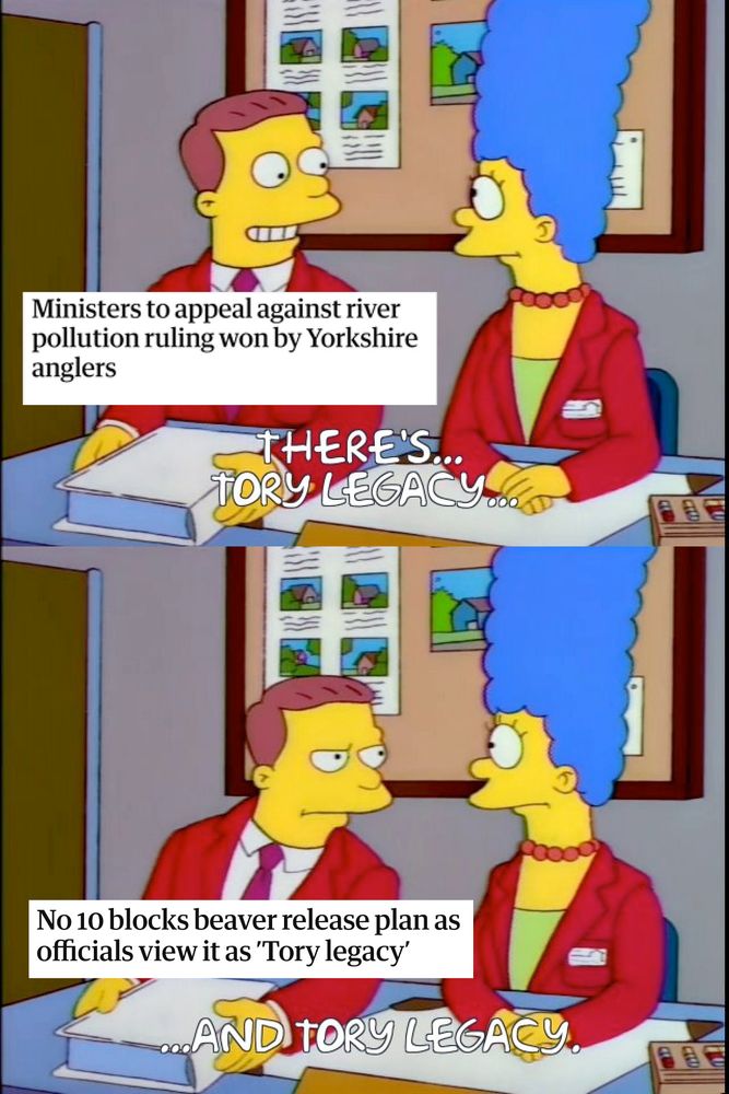 Panel 1: A smiling man in a red blazer "Theres... Tory Lecacy" with a headline reading "Ministers to appeal against river pollution ruling won by Yorkshire anglers".
Panel 2: The same man with a deep frown: "... and 'Tory Legacy'" with a headline reading "No 10 blocks beaver release plan as officials view it as Tory Legacy"