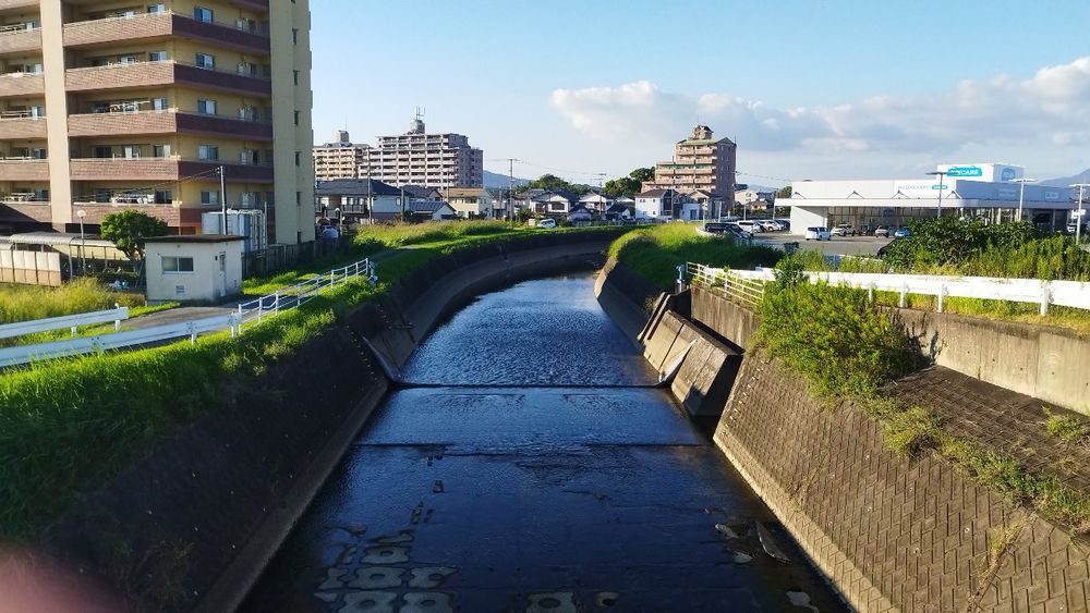 高原川の頭首工。画面では見にくいが、ゴム製の堰が立っていたあたりをサギが歩いて移動していた。
（福岡県小郡市 荒子橋付近　2025/10/6）