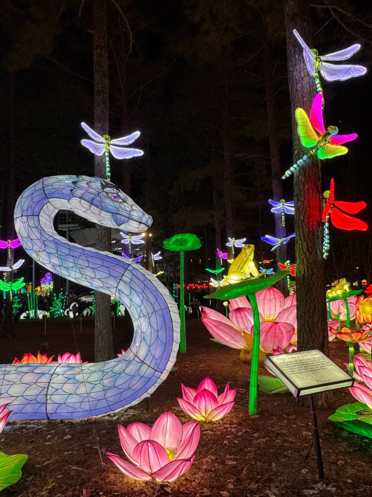 A giant white snake lantern with massive pink lotus lanterns and huge dragon flies.